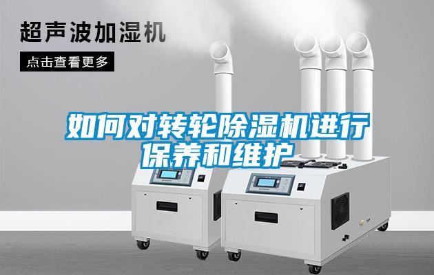 如何对转轮91抖音免费看片进行保养和维护