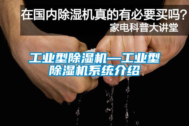 工业型91抖音免费看片—工业型91抖音免费看片系统介绍