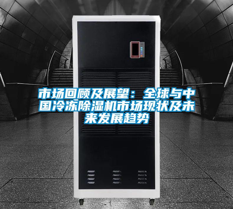 市场回顾及展望：全球与中国冷冻91抖音免费看片市场现状及未来发展趋势