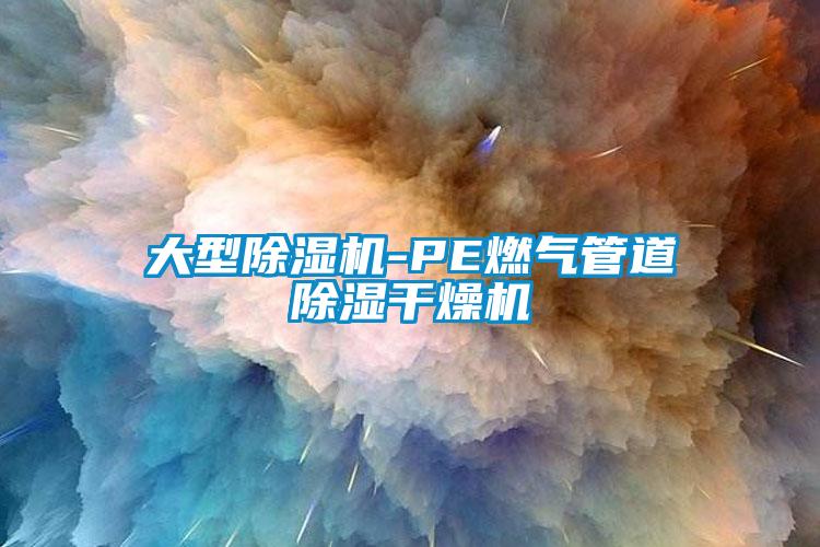 大型91抖音免费看片-PE燃气管道除湿干燥机