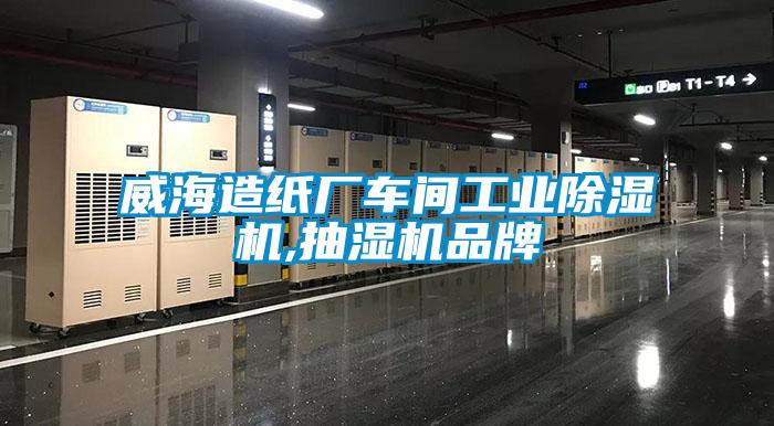 威海造纸厂车间工业91抖音免费看片,抽湿机品牌