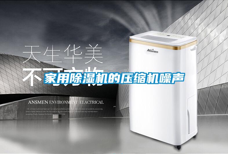 家用91抖音免费看片的压缩机噪声