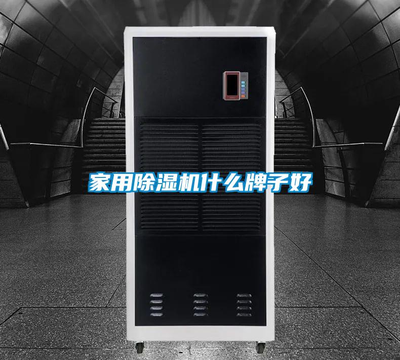 家用91抖音免费看片什么牌子好