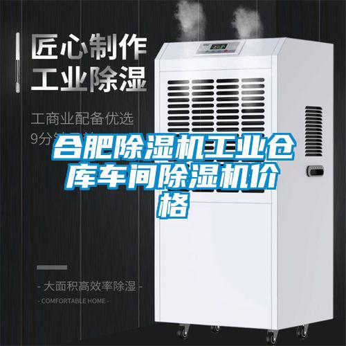 合肥91抖音免费看片工业仓库车间91抖音免费看片价格