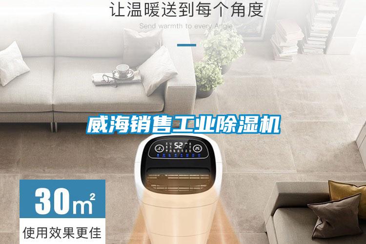 威海销售工业91抖音免费看片