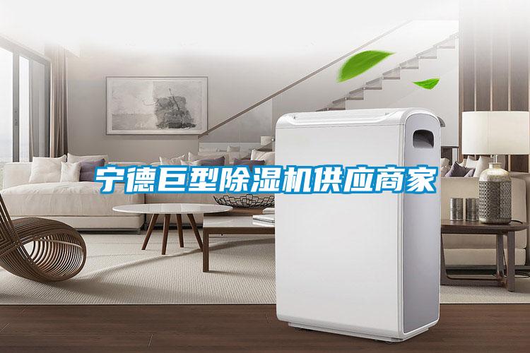宁德巨型91抖音免费看片供应商家
