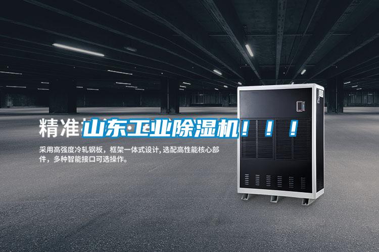 山东工业91抖音免费看片！！！