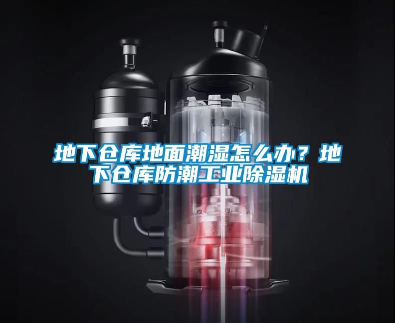 地下仓库地面潮湿怎么办？地下仓库防潮工业91抖音免费看片