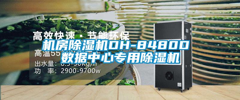 机房91抖音免费看片DH-8480D 数据中心专用91抖音免费看片