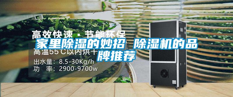 家里除湿的妙招 91抖音免费看片的品牌推荐