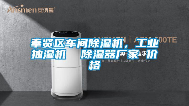 奉贤区车间91抖音免费看片，工业抽湿机  除湿器厂家 价格