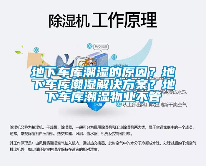 地下车库潮湿的原因？地下车库潮湿成人抖音APP污下载？地下车库潮湿物业不管
