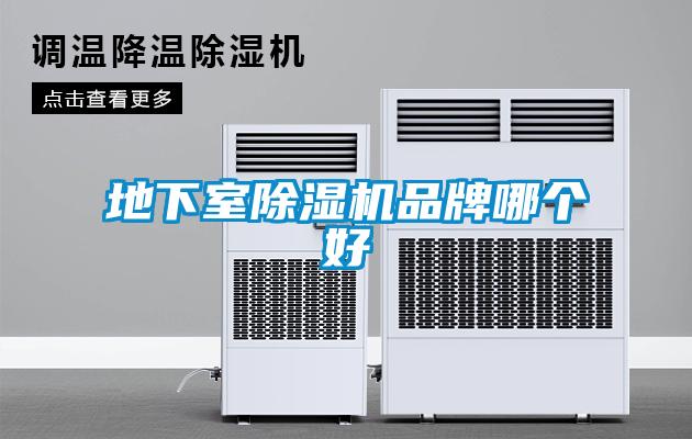 地下室91抖音免费看片品牌哪个好