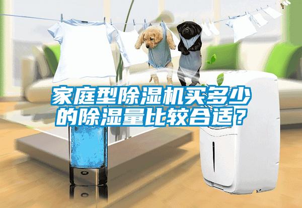 家庭型91抖音免费看片买多少的除湿量比较合适？