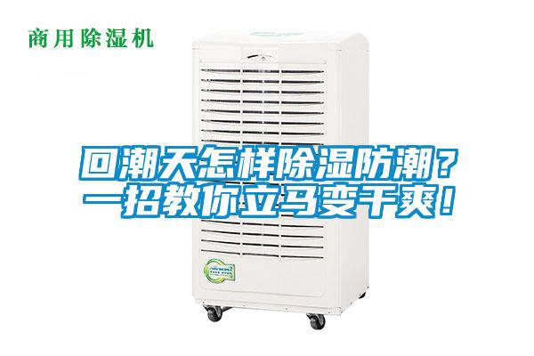 回潮天怎样除湿防潮？一招教你立马变干爽！