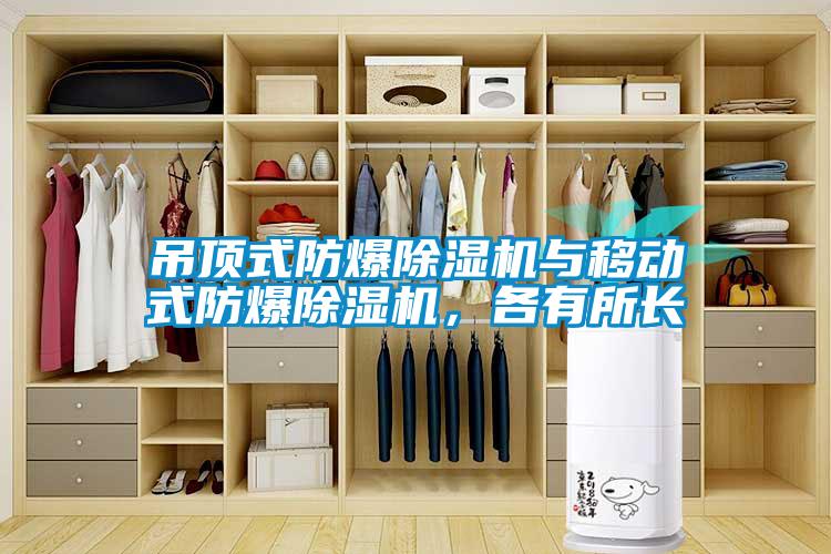 吊顶式防爆91抖音免费看片与移动式防爆91抖音免费看片，各有所长
