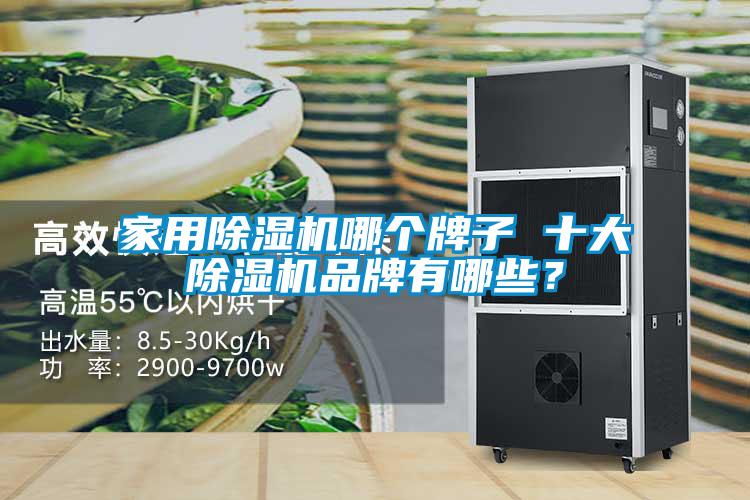 家用91抖音免费看片哪个牌子 十大91抖音免费看片品牌有哪些？