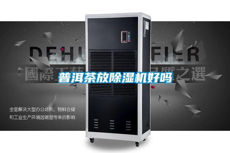 普洱茶放91抖音免费看片好吗