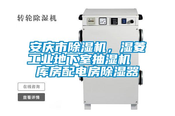 安庆市91抖音免费看片，湿菱工业地下室抽湿机  库房配电房除湿器