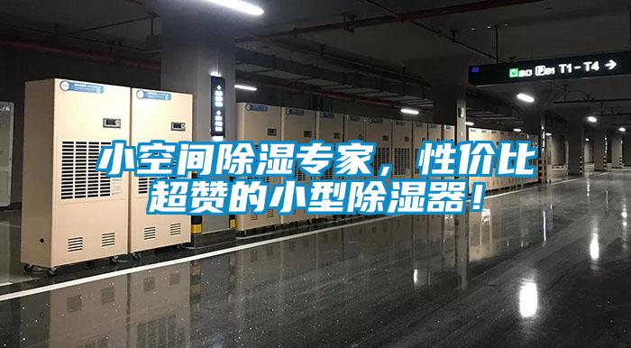 小空间除湿专家，性价比超赞的小型除湿器！