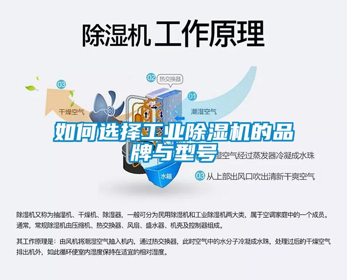 如何选择工业91抖音免费看片的品牌与型号