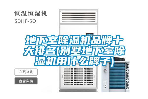 地下室91抖音免费看片品牌十大排名(别墅地下室91抖音免费看片用什么牌子)