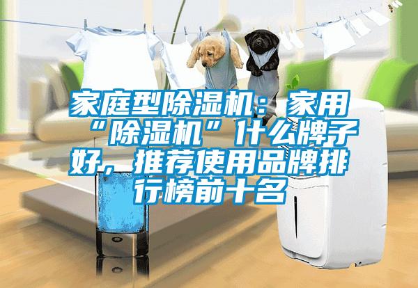 家庭型91抖音免费看片：家用“91抖音免费看片”什么牌子好，推荐使用品牌排行榜前十名