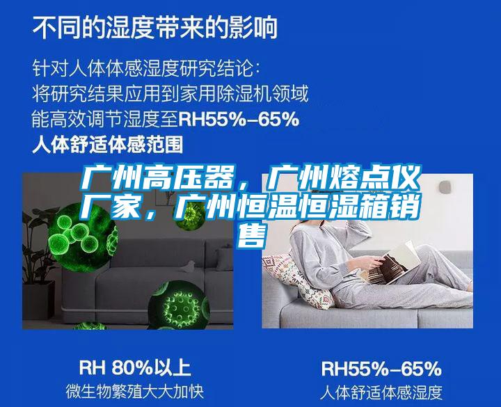 广州高压器，广州熔点仪厂家，广州恒温恒湿箱销售