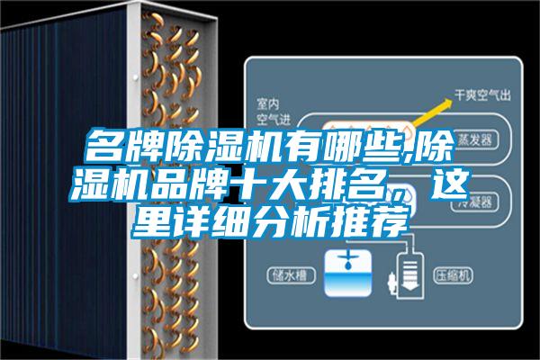 名牌91抖音免费看片有哪些,91抖音免费看片品牌十大排名，这里详细分析推荐