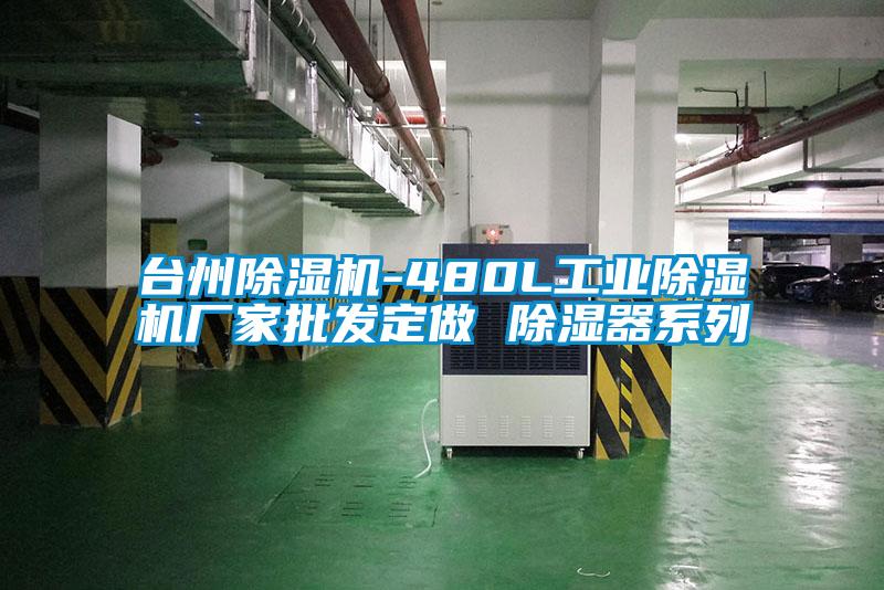 台州91抖音免费看片-480L工业91抖音免费看片厂家批发定做 除湿器系列