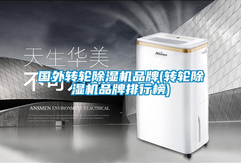 国外转轮91抖音免费看片品牌(转轮91抖音免费看片品牌排行榜)