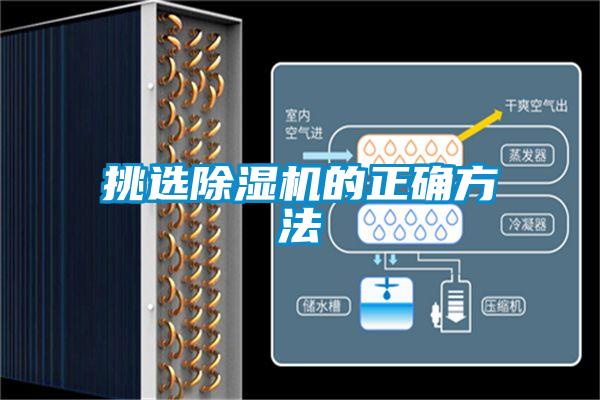 挑选91抖音免费看片的正确方法