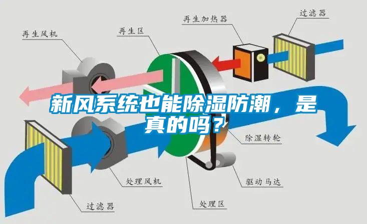 新风系统也能除湿防潮，是真的吗？