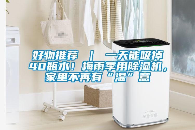 好物推荐 ｜ 一天能吸掉40瓶水！梅雨季用91抖音免费看片，家里不再有“湿”意