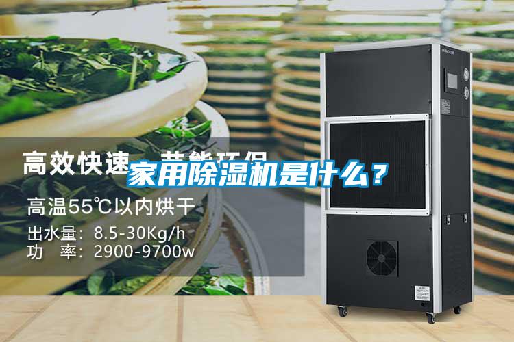 家用91抖音免费看片是什么？