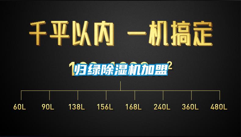 归绿91抖音免费看片加盟