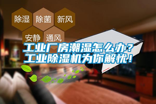 工业厂房潮湿怎么办？工业91抖音免费看片为你解忧！