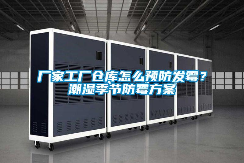 厂家工厂仓库怎么预防发霉？潮湿季节防霉方案