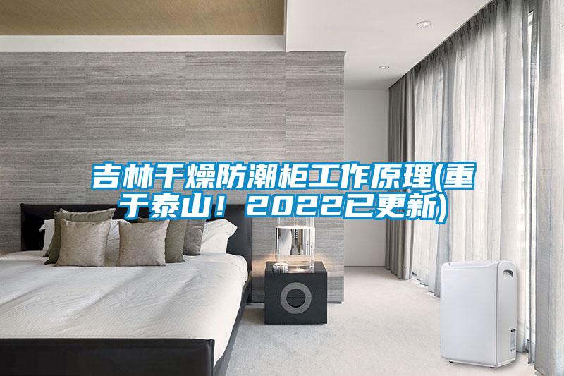 吉林干燥防潮柜工作原理(重于泰山！2022已更新)