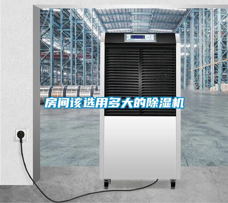 房间该选用多大的91抖音免费看片