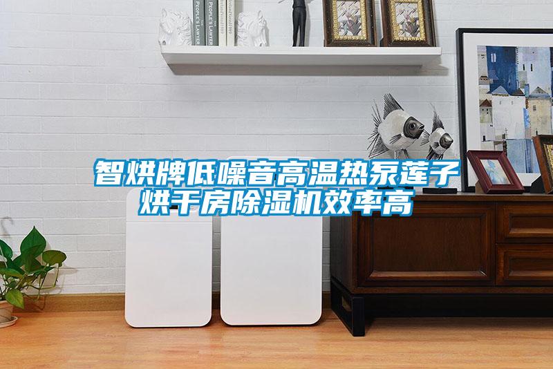 智烘牌低噪音高温热泵莲子烘干房91抖音免费看片效率高