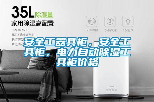 安全工器具柜，安全工具柜，电力自动除湿工具柜价格