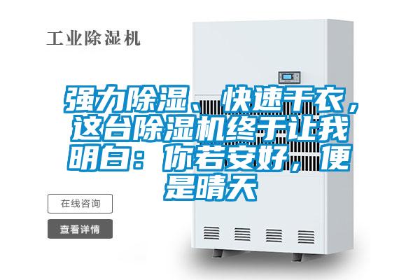 强力除湿、快速干衣，这台91抖音免费看片终于让我明白：你若安好，便是晴天