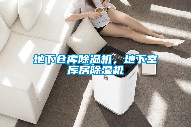 地下仓库91抖音免费看片，地下室库房91抖音免费看片