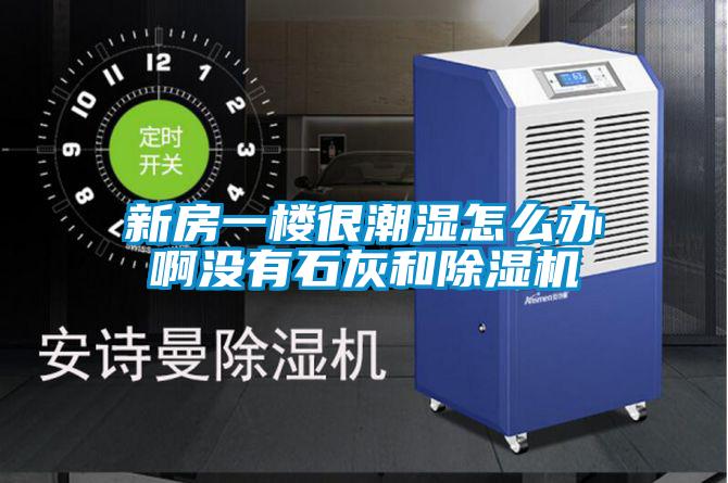 新房一楼很潮湿怎么办啊没有石灰和91抖音免费看片
