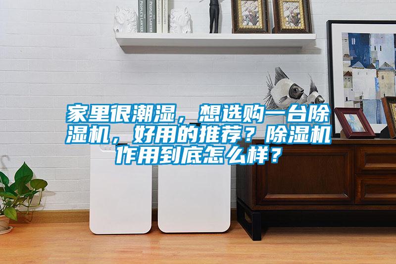 家里很潮湿，想选购一台91抖音免费看片，好用的推荐？91抖音免费看片作用到底怎么样？