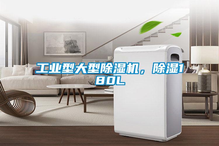 工业型大型91抖音免费看片，除湿180L