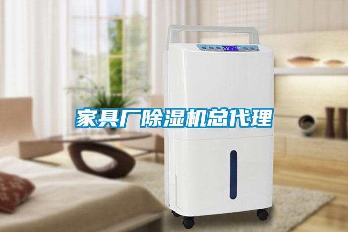 家具厂91抖音免费看片总代理