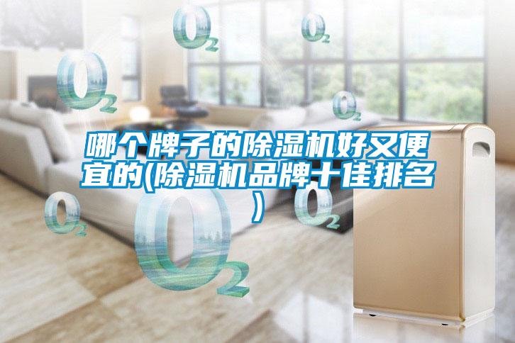 哪个牌子的91抖音免费看片好又便宜的(91抖音免费看片品牌十佳排名)