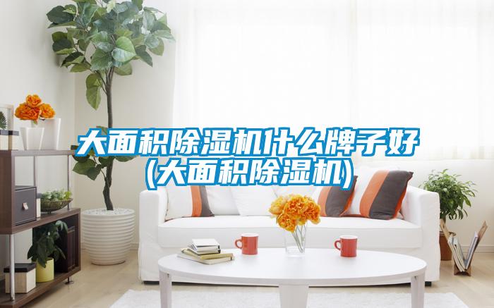 大面积91抖音免费看片什么牌子好(大面积91抖音免费看片)